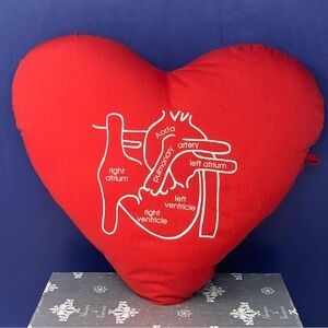 Heart-Shaped Red Anatomical 12” Plush Pillow Valentine’s Day Cardiac